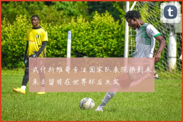 武什科维奇专注国家队表现热刺未来去留将在世界杯后决定