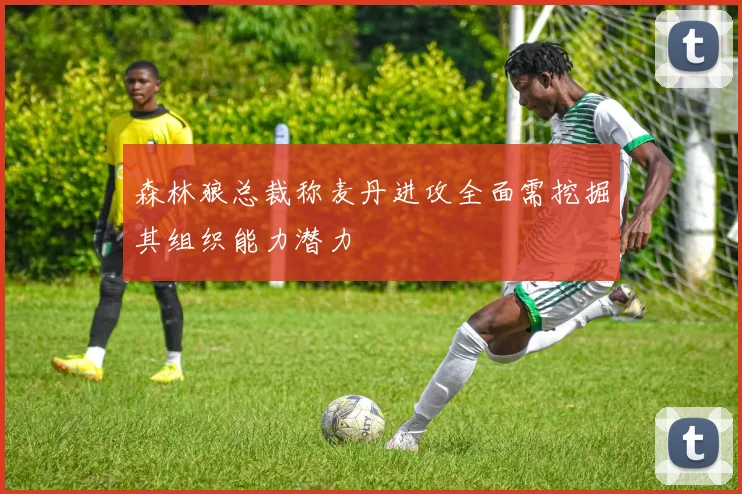 森林狼总裁称麦丹进攻全面需挖掘其组织能力潜力